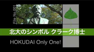 ѧΥܥ `ʿ HOKUDAI Only One! No.1